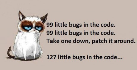 funny-picture-software-developer-song